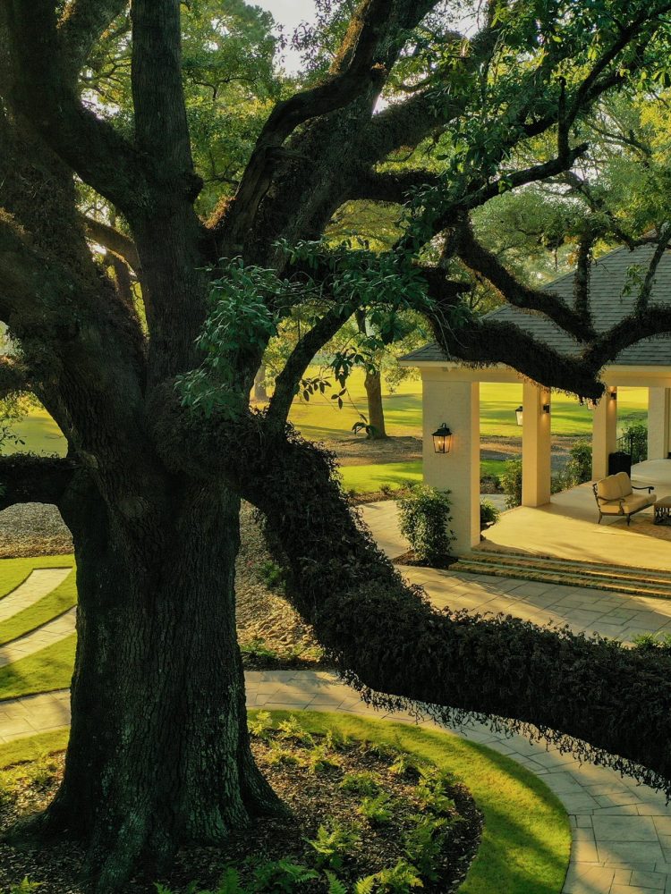 The Reed House _ Live Oaks